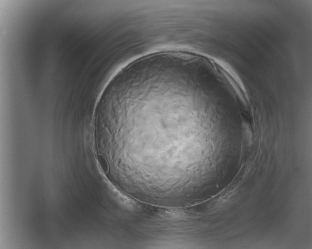 X0000060570911200511071016