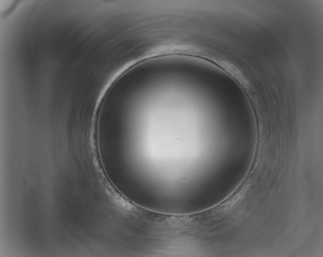 X0000060570912200511071016