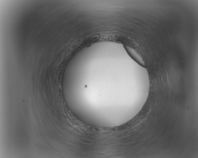 X0000060570913200511071015