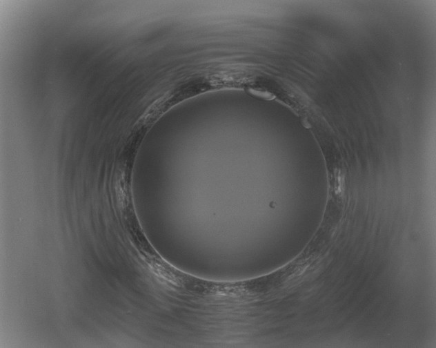 X0000060570915200511071015