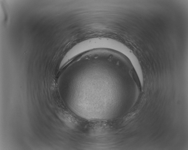 X0000060570916200511071015