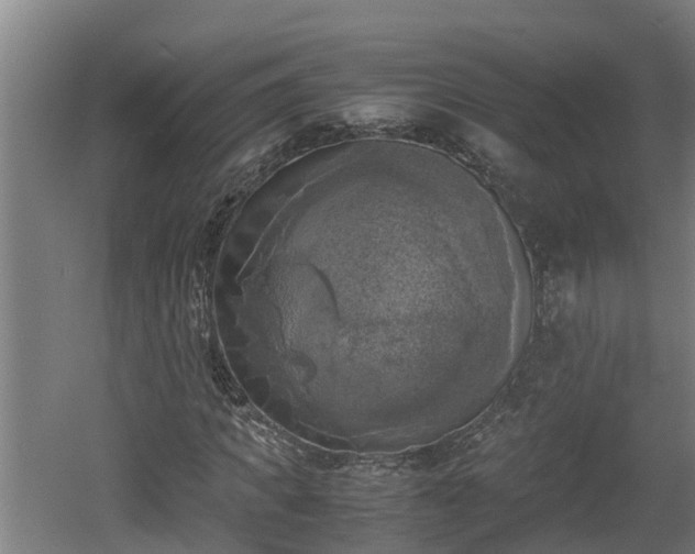 X0000060570917200511071015