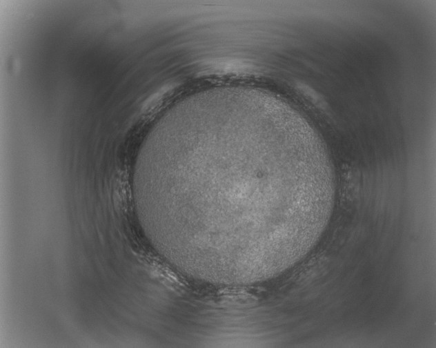 X0000060570918200511071015