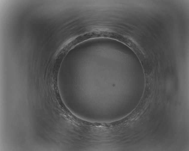 X0000060570919200511071015