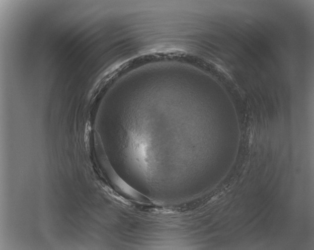 X0000060570920200511071015