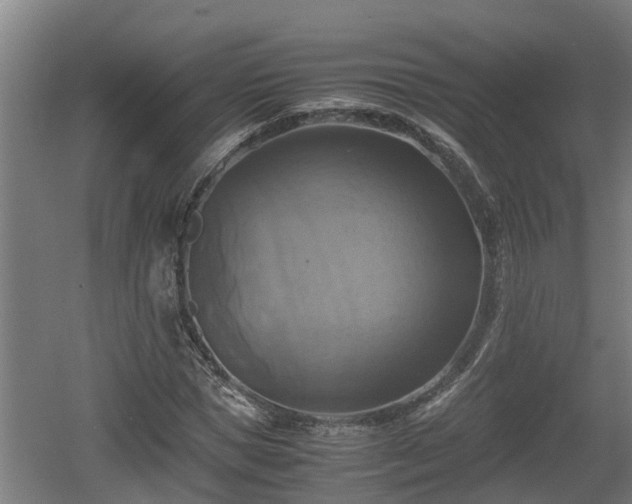 X0000060570921200511071015