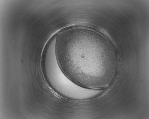 X0000060570924200511071015