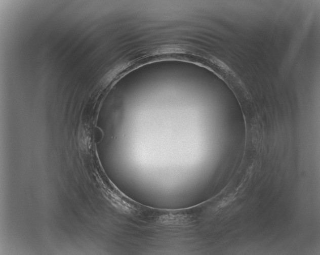 X0000060570929200511071015