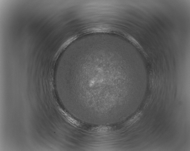 X0000060570930200511071015