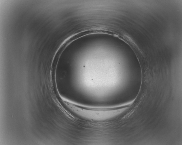 X0000060570932200511071015