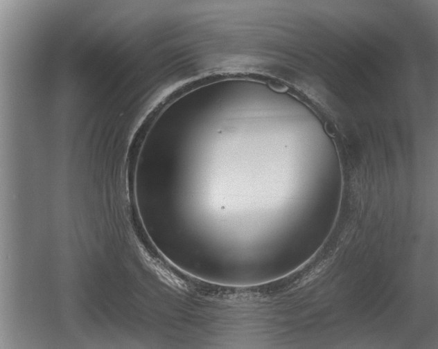 X0000060570934200511071015