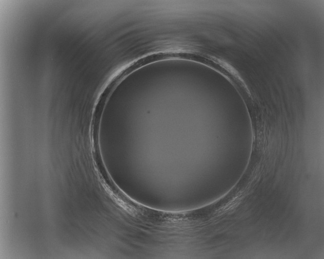 X0000060570935200511071015