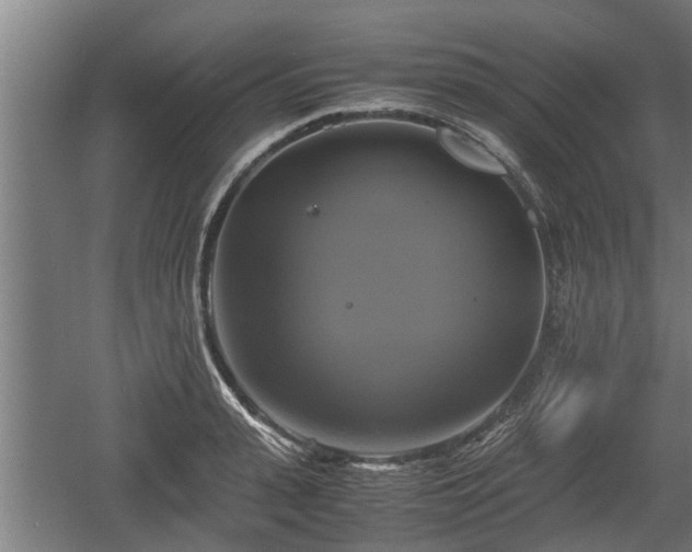 X0000060570943200511071015