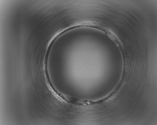 X0000060570944200511071015