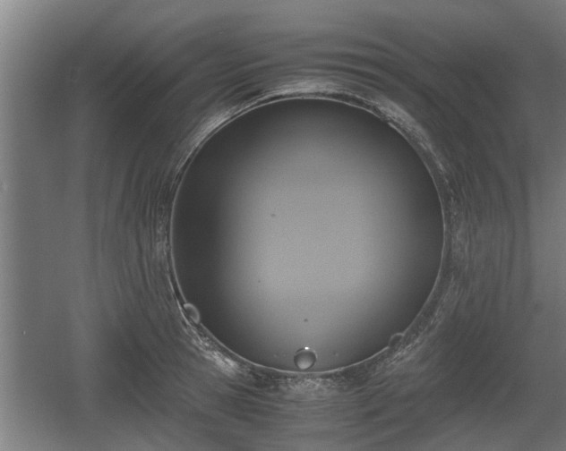 X0000060570945200511071015