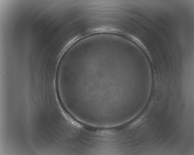 X0000060570946200511071015