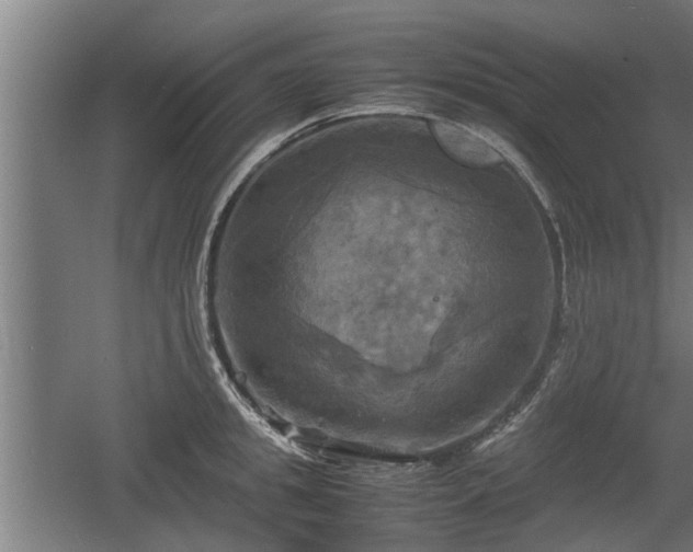 X0000060570949200511071016