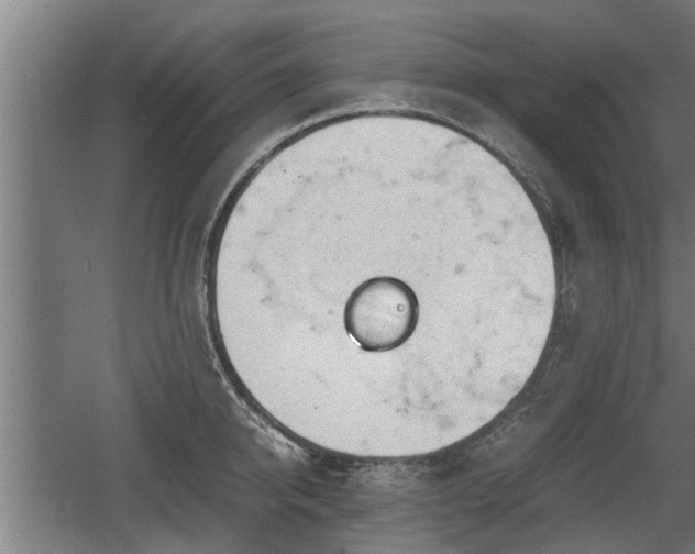 X0000060570950200511071016