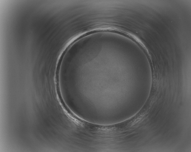 X0000060570951200511071016