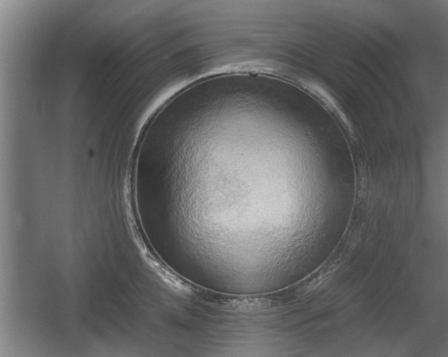 X0000060570952200511071016