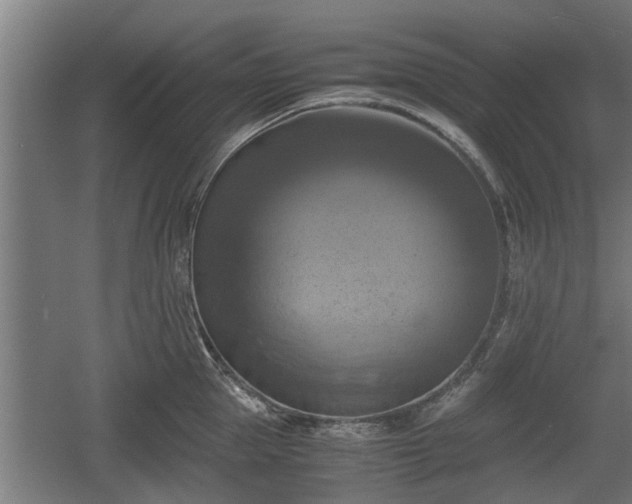 X0000060570953200511071016