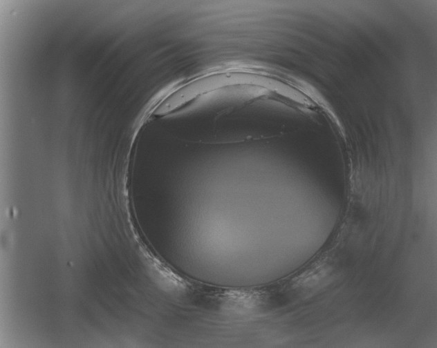 X0000060570954200511071016