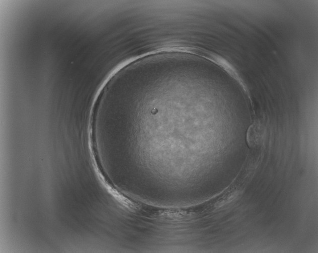 X0000060570955200511071016