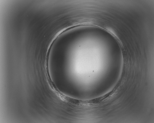 X0000060570956200511071016