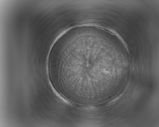 X0000060570957200511071016