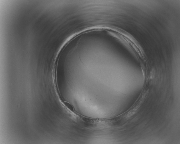 X0000060570958200511071016