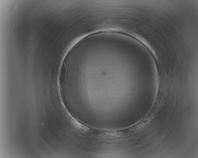 X0000060570959200511071016