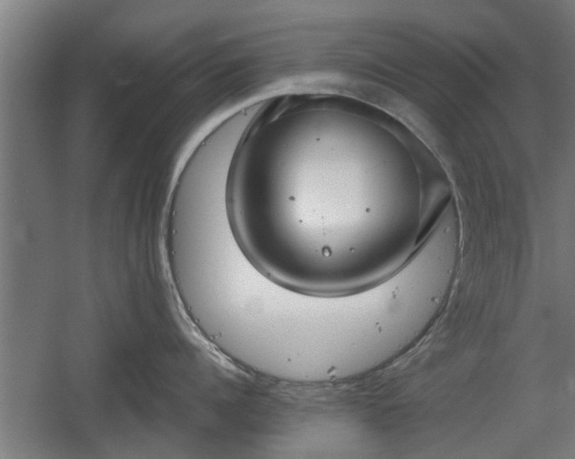 X0000060570960200511071016