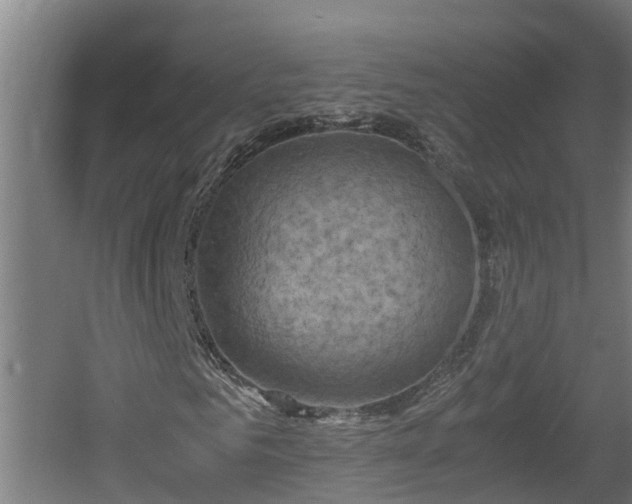 X0000060570961200511071015