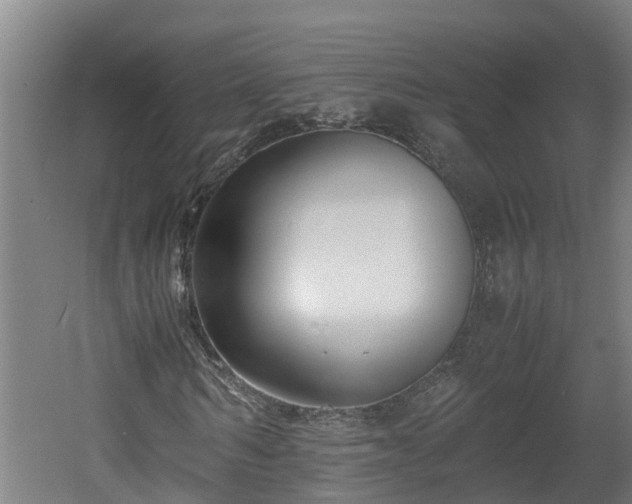 X0000060570962200511071015