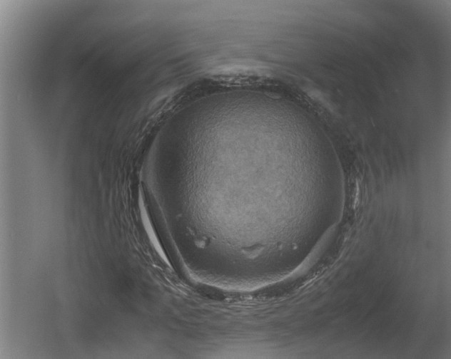 X0000060570965200511071015