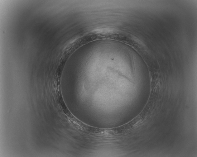 X0000060570966200511071015