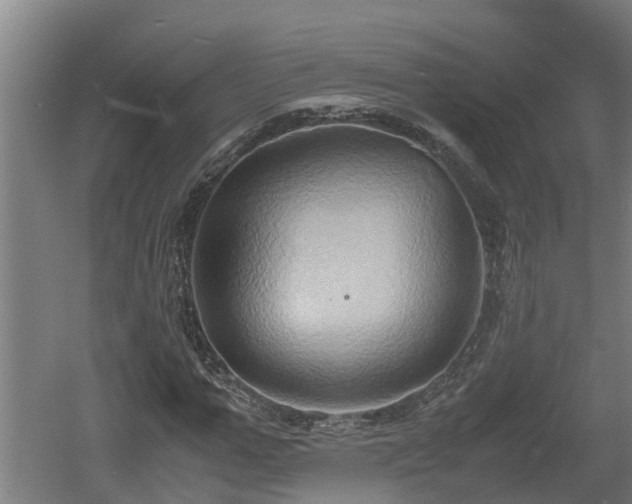 X0000060570967200511071015