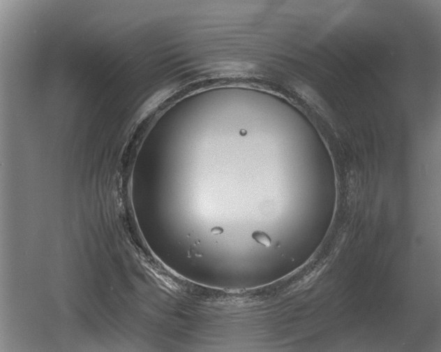 X0000060570970200511071015