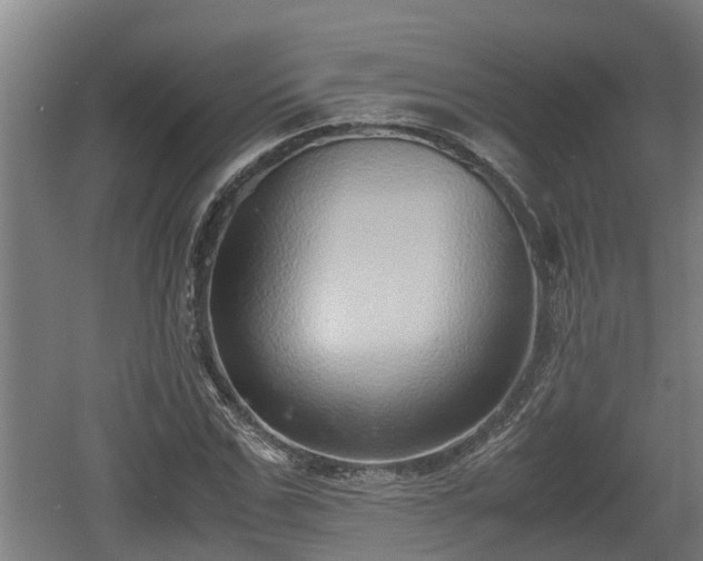 X0000060570971200511071015