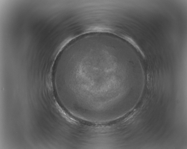 X0000060570972200511071015