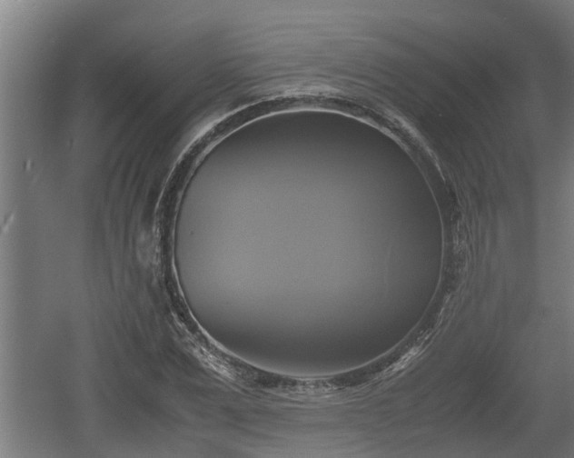 X0000060570975200511071015