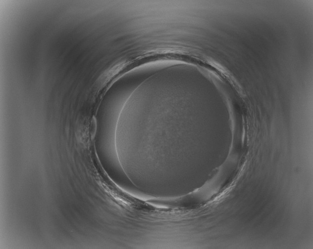 X0000060570977200511071015