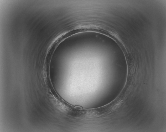 X0000060570979200511071015