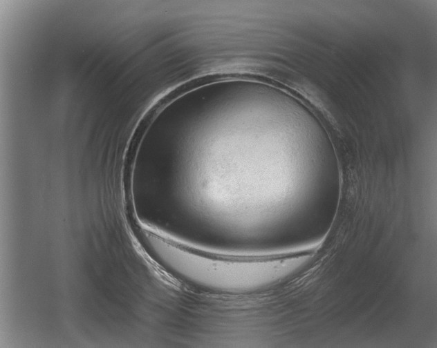 X0000060570980200511071015