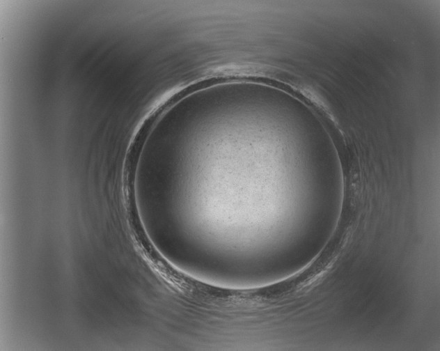 X0000060570981200511071015