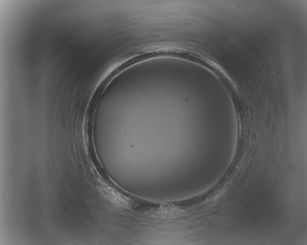 X0000060570983200511071015