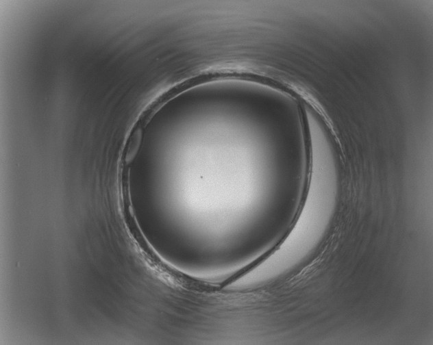 X0000060570984200511071014