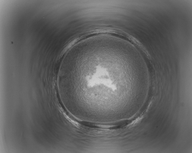 X0000060570985200511071014