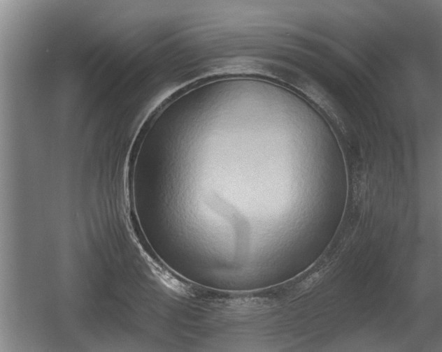 X0000060570988200511071014