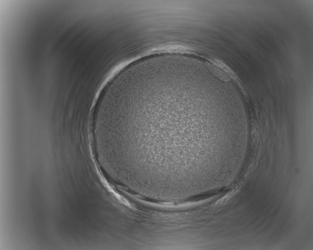 X0000060570989200511071014